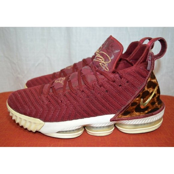Nike Air Zoom Lebron 16 \